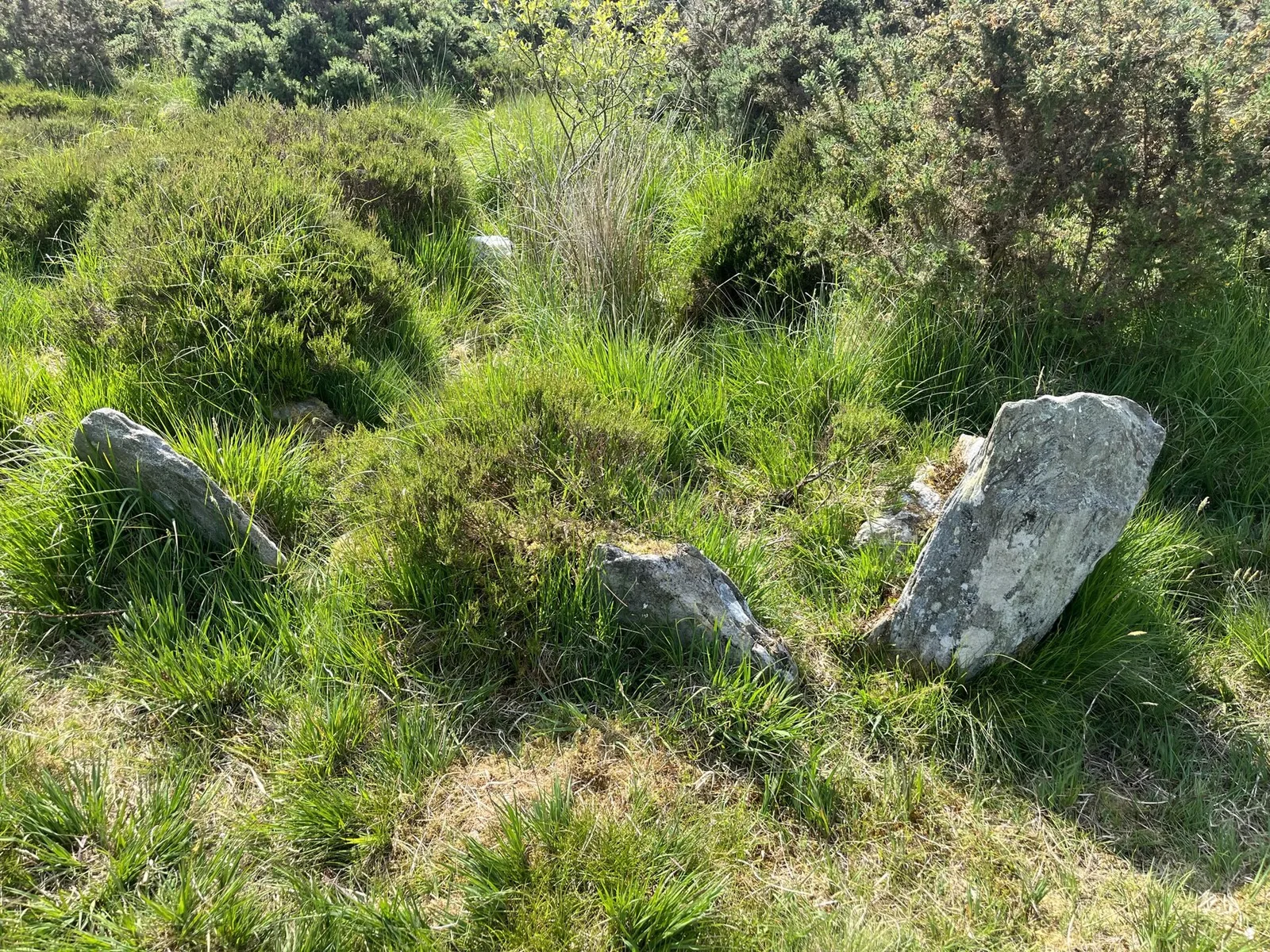 Ballygroll Prehistoric Landscape